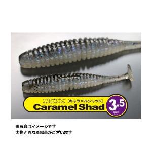 一誠キャラメルシャッド3.5inch(#40グリパン/オレンジ) : つり具の