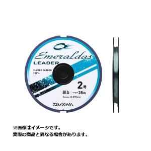 Okinawa Mambika C100SSXH オキナワマンビカ テイルウォーク(tailwalk) オキナワマンビカ C100SSXH ベイト