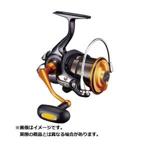 ダイワ　19 キャスティズム　25 15PE DAIWA（釣り） ダイワ 19 キャスティズム25 15PE : ヨコオネット