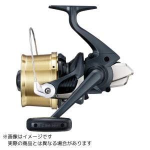 シマノ 18 サーフリーダー CI4＋ 35細糸仕様 スピニングリール - 最