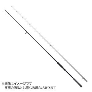 DAIWA（ダイワ） シーバスロッド シーバスフラットX 100M 23年モデル