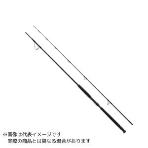 シマノ（SHIMANO） 25 コルトスナイパーエクスチューン S100H 【大型