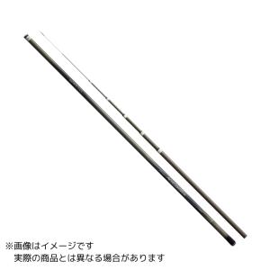 DAIWA（釣り） ダイワ 鮎竿 プロトギア MT 早瀬抜 90 : つり具の