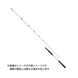 DAIWA（ダイワ） ダイワ20ライトゲームX73MH-190・R【大型商品140