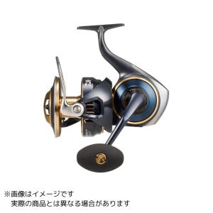 DAIWA(釣り) ダイワ 24 ソルティガ C (キャスティングモデル DAIWA(釣り) ダイワ 24 ソルティガ C (キャスティングモデル