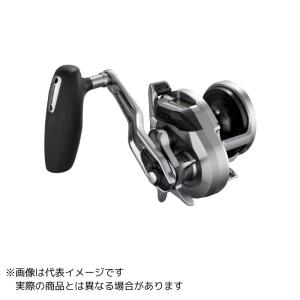 DAIWA（ダイワ） ベイトリール 25ソルティガ（SALTIGA） 10 (右