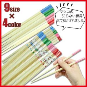 六角知能箸 せいわ箸 日本製 おはし 六角知能はし 軽い