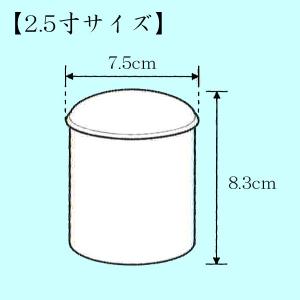 上骨カメ 白並 2.5寸 骨壺 骨壷 手元供養...の詳細画像1