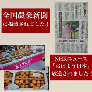 「セミドライあんず 100g」 ドライアプリコ...の詳細画像1