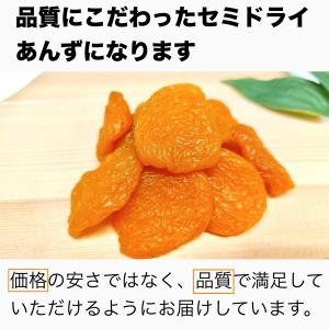 「セミドライあんず 100g」 ドライアプリコ...の詳細画像2