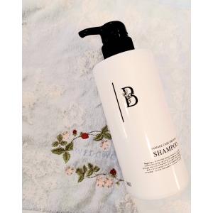 ネフェルシャンプー さらさらタイプ4本サロン専売品 ネフェル