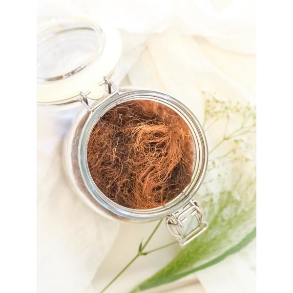お茶のしんちゃん　とうもろこしのひげ茶 50g【1ヶ月分】