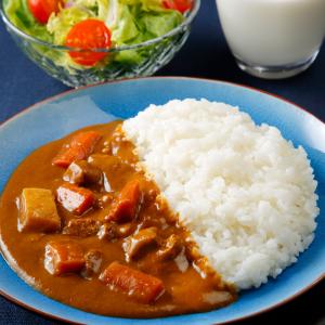 試験艦あすかカレー 200gの詳細画像4