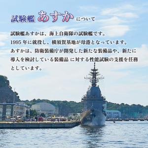 試験艦あすかカレー 200gの詳細画像5