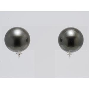黒蝶真珠（黒真珠）ピアス9.5mm ピーコックグリーン : 真珠専門店
