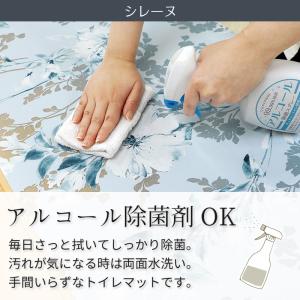 [在庫処分] キッチンマット (単品) 透明 ...の詳細画像1