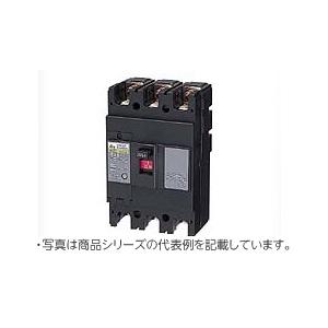 NE103A 3P 100A：【NE】サーキットブレーカ（経済形）　極数・素子数3P3E　定格電流100A｜yonashin-home