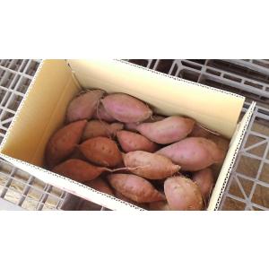 「茨城産さつまいも」シルクスイート「〇L,M混」5kg-土付き