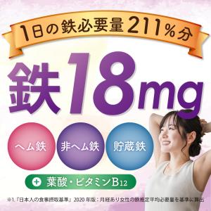 鉄分 サプリ 鉄18mg 3種の鉄リッチ 鉄分...の詳細画像1