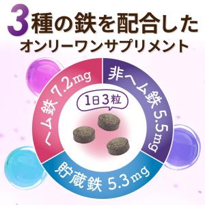 鉄分 サプリ 鉄18mg 3種の鉄リッチ 鉄分...の詳細画像2