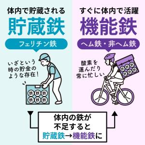 鉄分 サプリ 鉄18mg 3種の鉄リッチ 鉄分...の詳細画像3