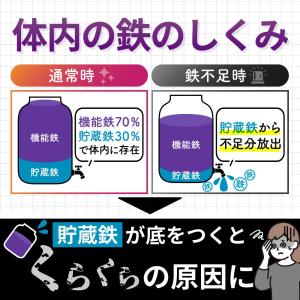 鉄分 サプリ 鉄18mg 3種の鉄リッチ 鉄分...の詳細画像4