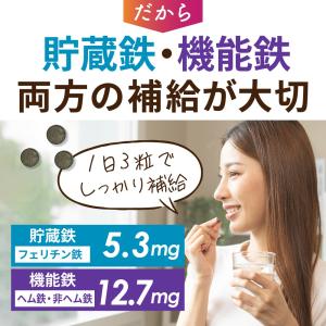 鉄分 サプリ 鉄18mg 3種の鉄リッチ 鉄分...の詳細画像5