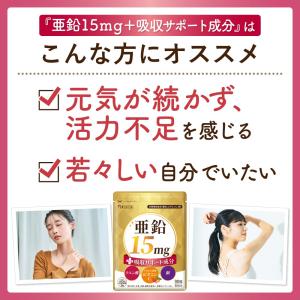 亜鉛 サプリ 亜鉛15mg+吸収サポート成分 ...の詳細画像4