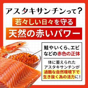 アスタキサンチン 12mg + ビタミンE 5...の詳細画像2