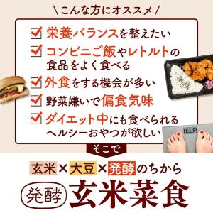 米ぬか 自然由来サプリメント ビタミン ミネラ...の詳細画像2