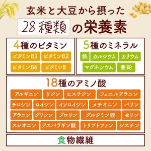 米ぬか 自然由来サプリメント ビタミン ミネラ...の詳細画像4