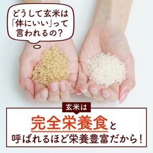 米ぬか 自然由来サプリメント ビタミン ミネラ...の詳細画像5