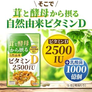 ビタミンD サプリ 2500IU キノコと酵母...の詳細画像3