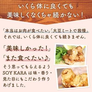 大豆ミート 乾物 乾燥豆類 缶詰 食品 通販 Yahoo ショッピング