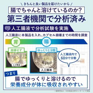 DHA EPA オメガ3 サプリ 国産魚油 日...の詳細画像4