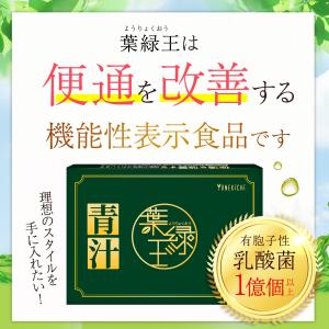 青汁 乳酸菌 生きて腸まで届く 葉緑王 ようり...の詳細画像3
