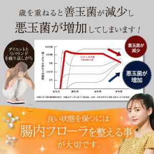 青汁 乳酸菌 生きて腸まで届く 葉緑王 ようり...の詳細画像4
