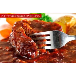 赤ワイン&地ビール仕込みのビーフシチュー 1パ...の詳細画像2