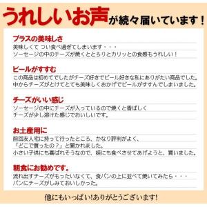 母の日 ギフト チーズ リオナ ソーセージ 2...の詳細画像3