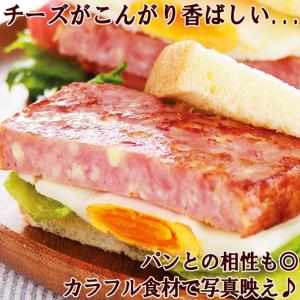 お中元 御中元 ギフト 国産豚肉使用 チーズケ...の詳細画像3