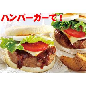 お中元 ギフト 御中元 中元 米久のハンバーグ...の詳細画像4