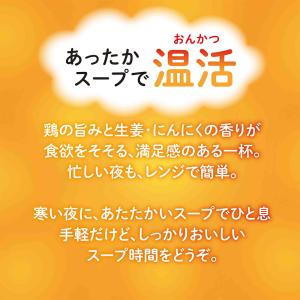 【お届けは8月1日まで】アウトレット 食品ロス...の詳細画像5