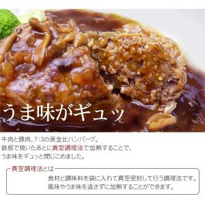 内祝い 新生活 2026 デミグラスソース 黄...の詳細画像2