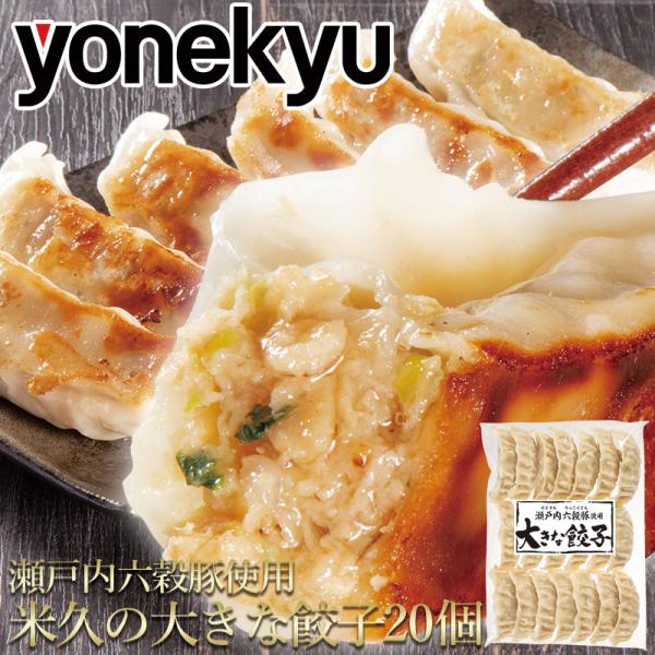 お歳暮 大きな餃子 20個 瀬戸内六穀豚使用 餃子 冷凍 国産豚肉  お歳暮 ご飯のお供 ごはんのお...