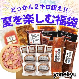 お取り寄せ 福袋 夏を楽しむ福袋 セット 詰め合わせ 簡単調理 冷凍食品 惣菜 おかず ディナー 人気 2025 ご飯のお供