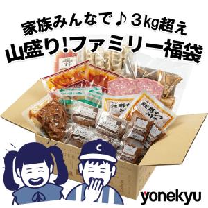 お取り寄せ 福袋 山盛り！家族福袋 セット 詰め合わせ