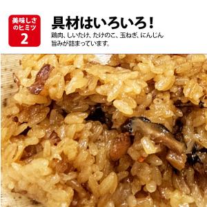 お中元 中元 御中元 ギフト 中華ちまき ちま...の詳細画像2