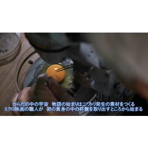 からだの中の宇宙 前編・後編 セット版 (DVD)の詳細画像2