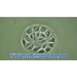 からだの中の宇宙 前編・後編 セット版 (DVD)の詳細画像4