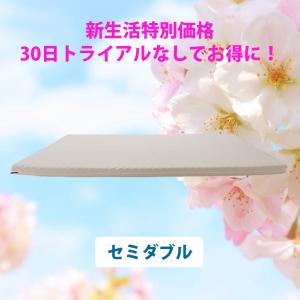 シングル 安心1年保証付き ヨーネルコ 厚み10cm 三つ折り 高反発